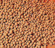 Hydroton Expanded Clay Pellets